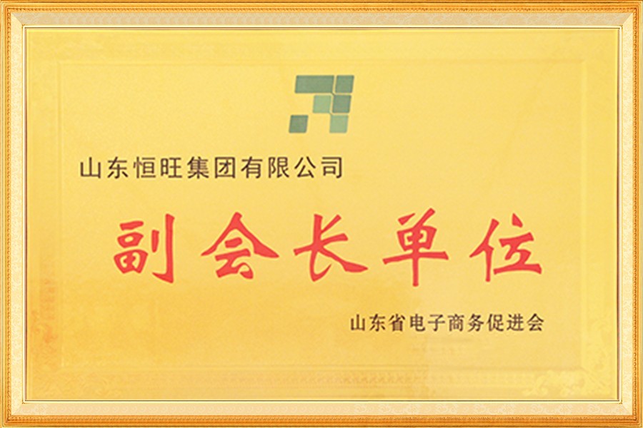 山東省電子(zǐ)商務促進會副會(huì)長單位